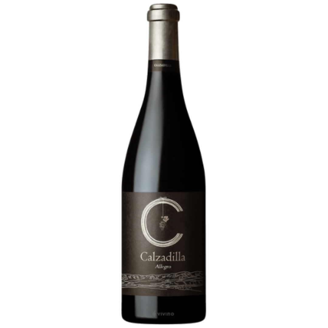 Pago Calzadilla Allegro Syrah Vino de Pago 2016